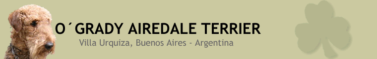 O´GRADY: Criadero de Airedale Terrier - Buenos Aires / Argentina 
